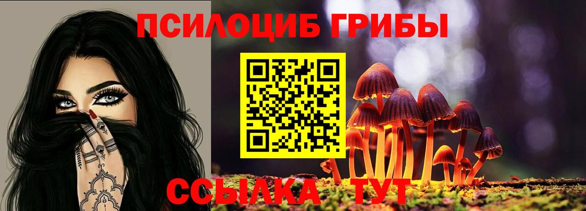 Псилоцибиновые грибы MAGIC MUSHROOMS  Вход с VPN  Лабытнанги 
